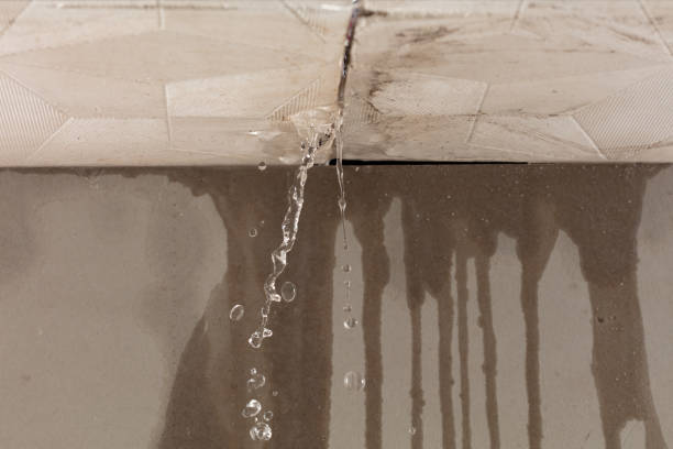 Professional Water Damage Inspection technician working in Happy, TX